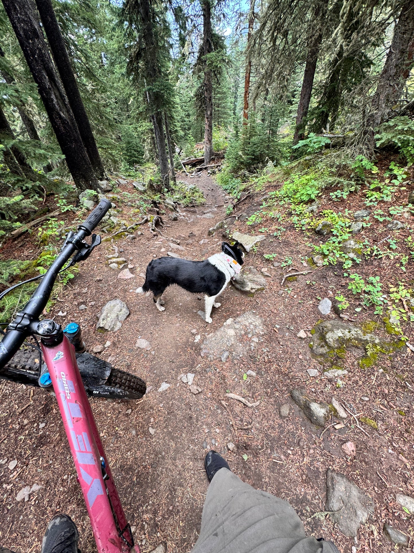 Yeti SB140 M