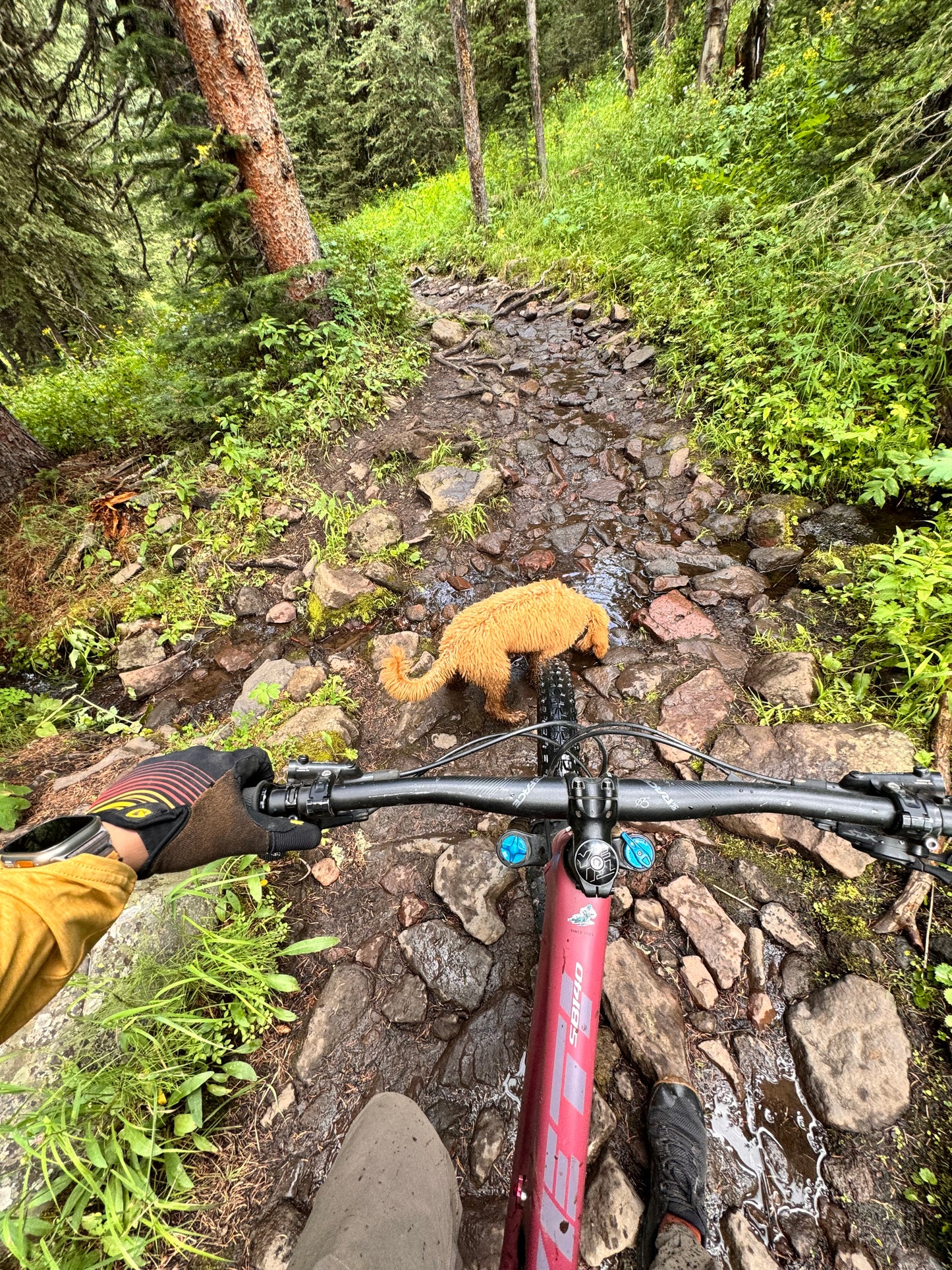 Yeti SB140 M