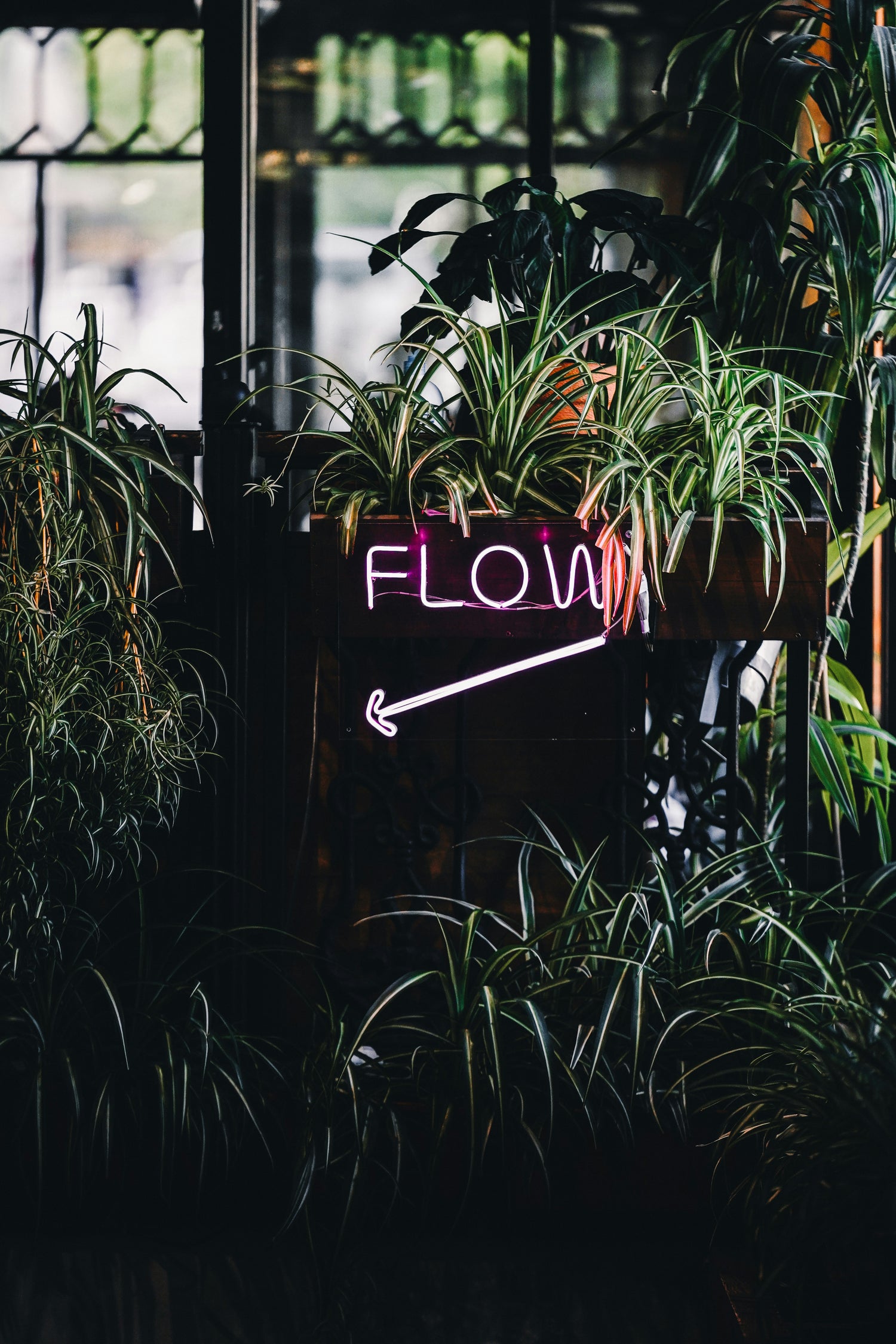 Wear the Flow to Share the Flow